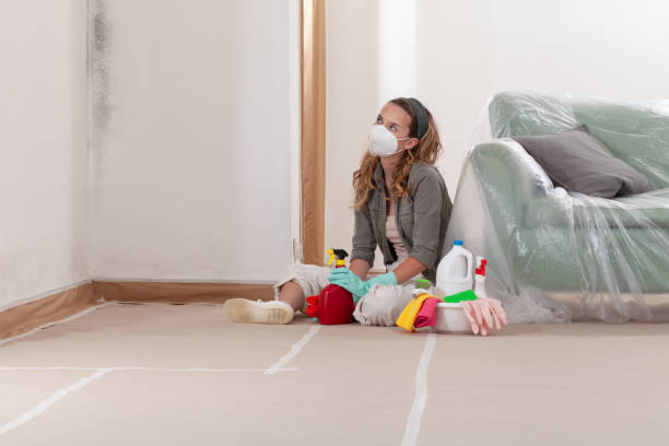 Reliable Mold Remediation contractor in Elmira, NY by Cheap Mold Removal